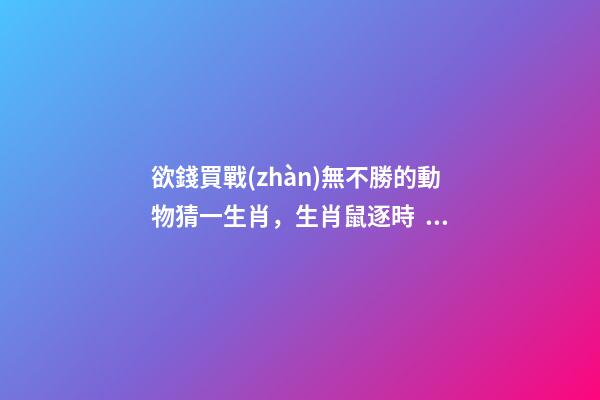 欲錢買戰(zhàn)無不勝的動物猜一生肖，生肖鼠逐時、逐日、逐年運勢